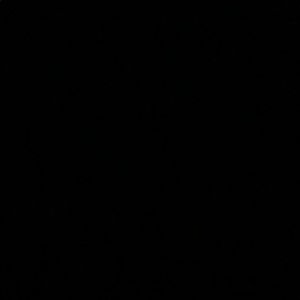 Meet your Posher, Bryant